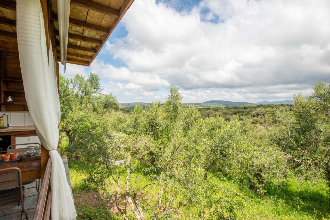 Hakuna Matata Holidays Wooden Lodge With Airco & Pool In Greek Olive Grove Methoni  Exterior foto