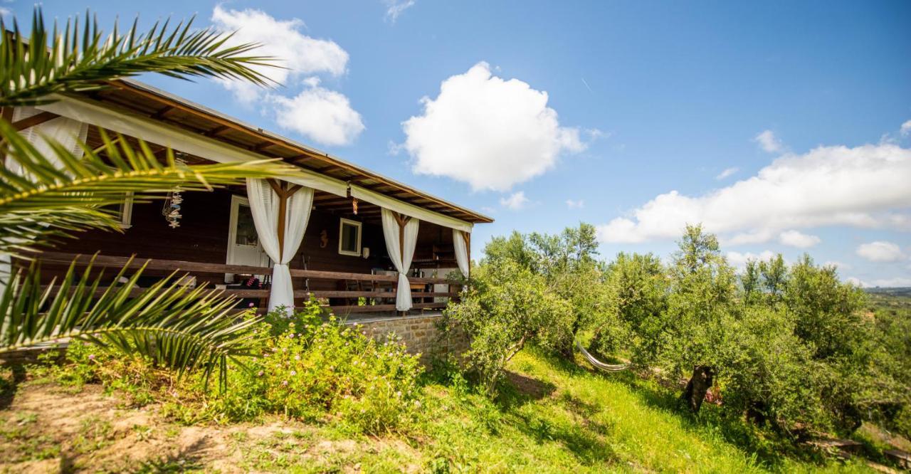 Hakuna Matata Holidays Wooden Lodge With Airco & Pool In Greek Olive Grove Methoni  Exterior foto