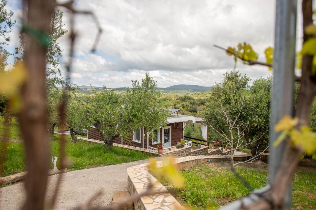Hakuna Matata Holidays Wooden Lodge With Airco & Pool In Greek Olive Grove Methoni  Exterior foto
