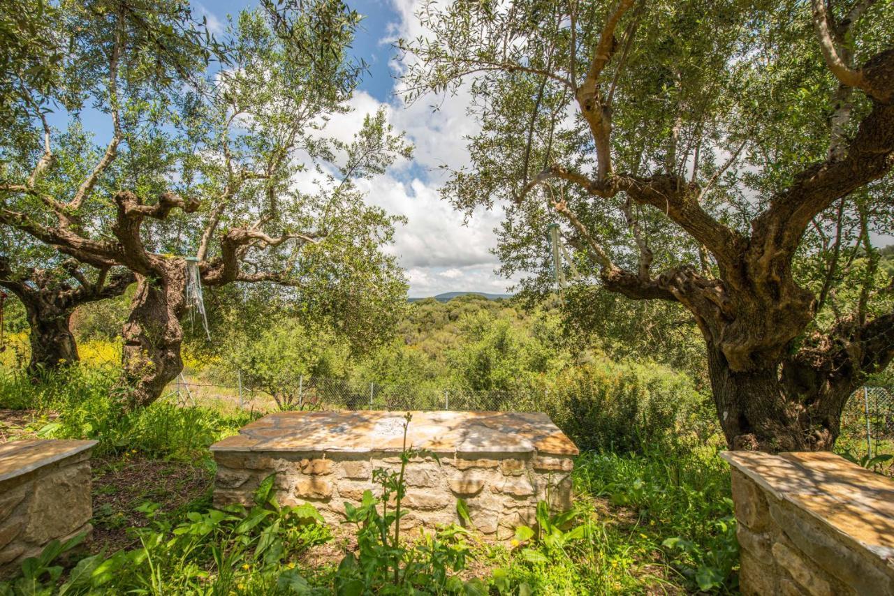 Hakuna Matata Holidays Wooden Lodge With Airco & Pool In Greek Olive Grove Methoni  Exterior foto