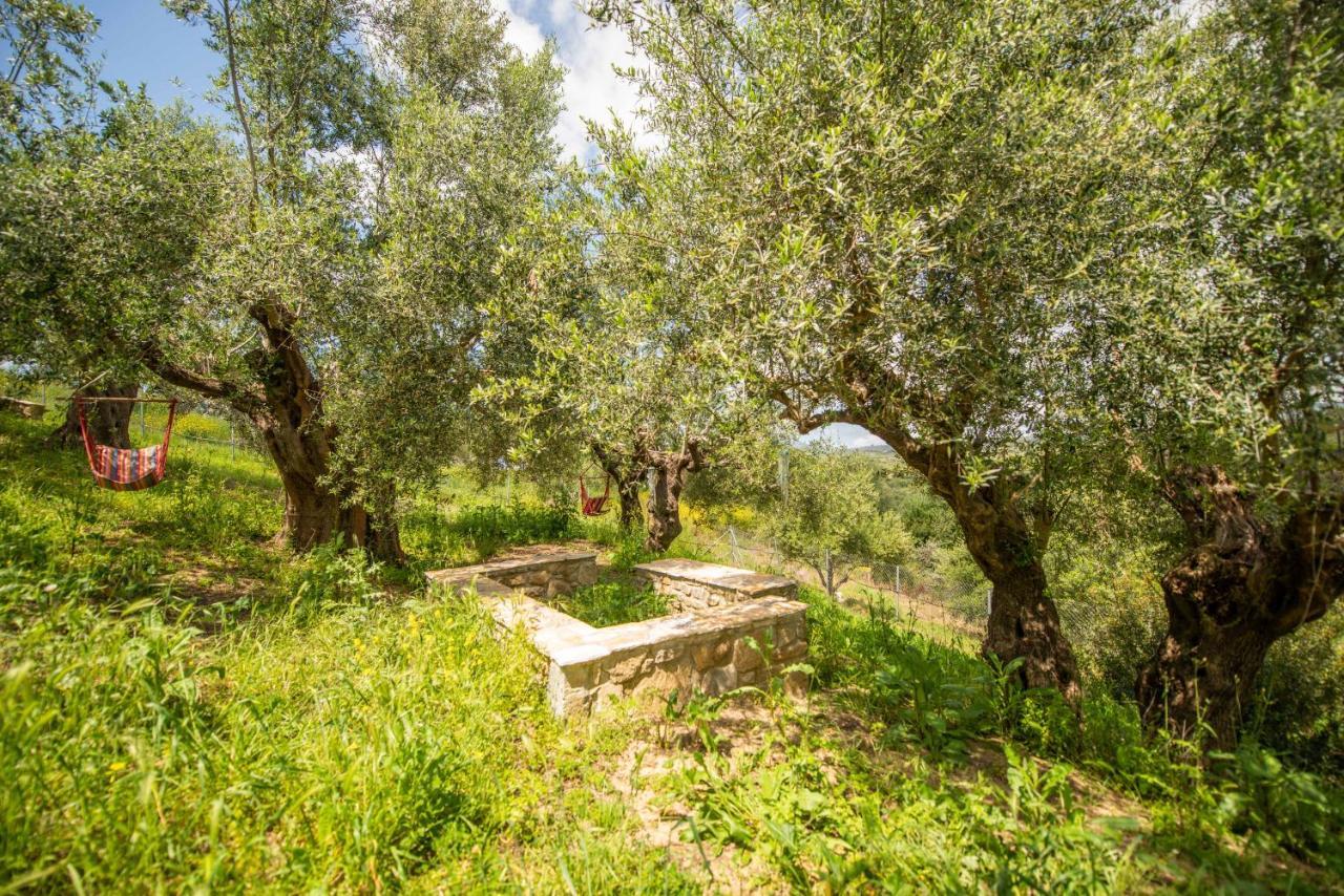Hakuna Matata Holidays Wooden Lodge With Airco & Pool In Greek Olive Grove Methoni  Exterior foto