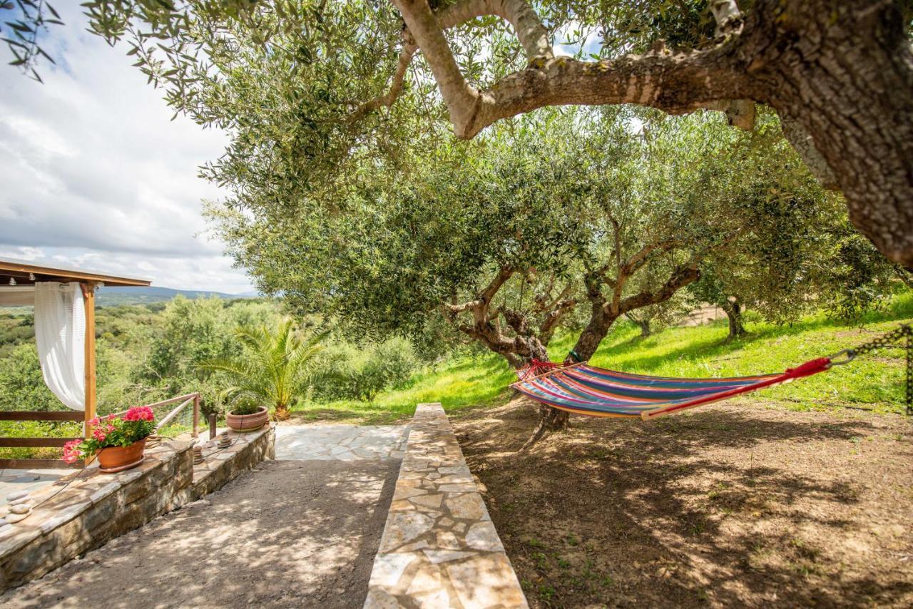 Hakuna Matata Holidays Wooden Lodge With Airco & Pool In Greek Olive Grove Methoni  Exterior foto