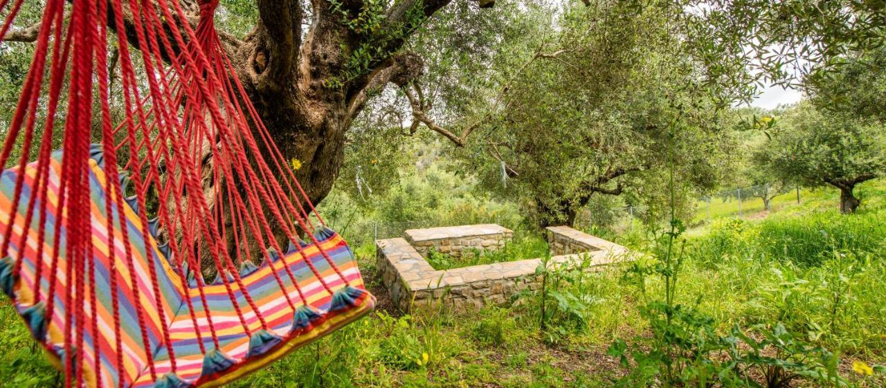 Hakuna Matata Holidays Wooden Lodge With Airco & Pool In Greek Olive Grove Methoni  Exterior foto