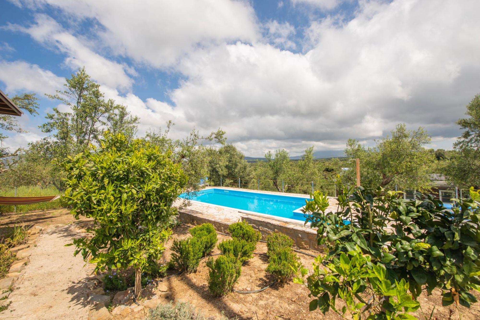 Hakuna Matata Holidays Wooden Lodge With Airco & Pool In Greek Olive Grove Methoni  Exterior foto