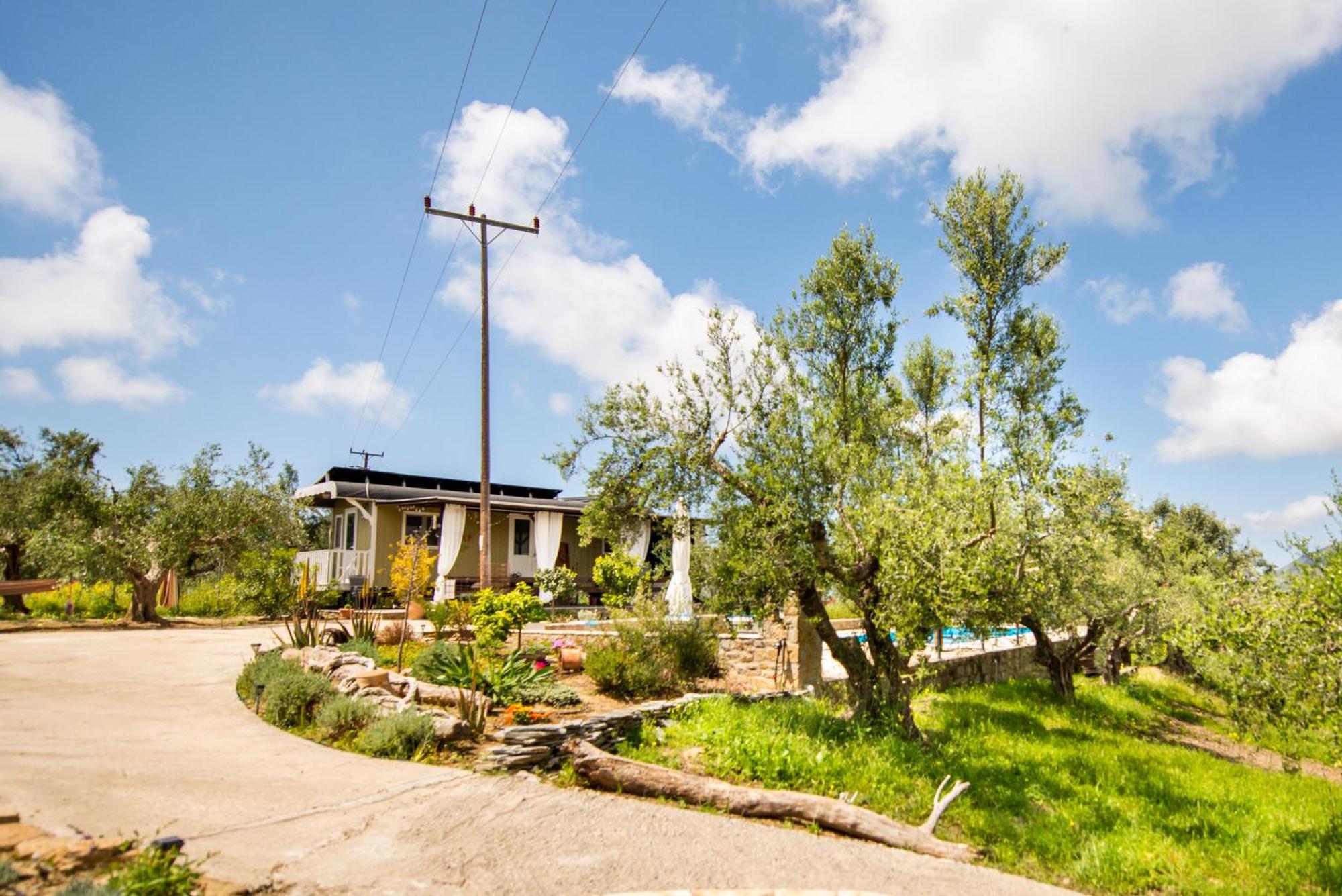 Hakuna Matata Holidays Wooden Lodge With Airco & Pool In Greek Olive Grove Methoni  Exterior foto